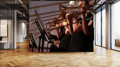 Group of musicians jazz band playing various musical instruments golden saxophone trombone trumpet standing on stage in a row Wall mural