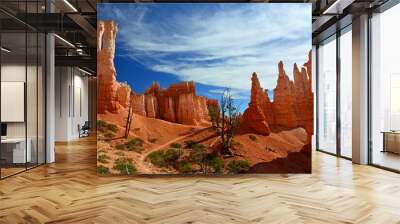 incredible view over the colorful, eroded hoodoos of bryce canyon national park in utah, form the queen's garden trail Wall mural