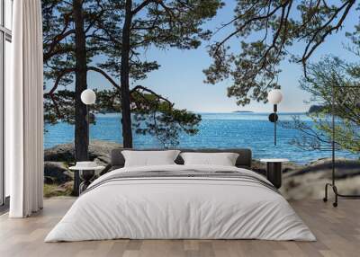 Peaceful sea view with pine trees on a rocky shore of the Gulf of Finland coastline, Baltic Sea, in Helsinki in a beautiful and sunny summer day  Wall mural