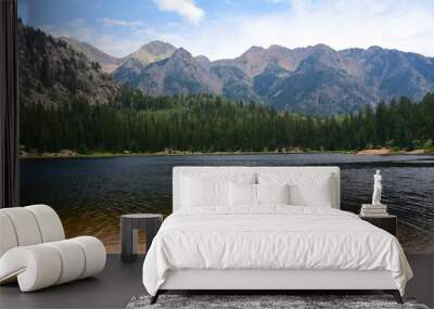 panoramic view of potato lake and the west needle mountains on  a sunny day in summer in the san juan national forest near durango, colorado Wall mural