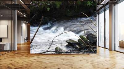 slow motion winter welsh stream Wall mural