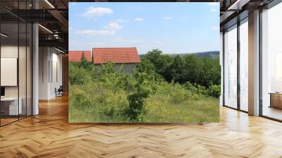 The roofs of the houses can be seen between the trees. Two houses in a forest area. Wall mural