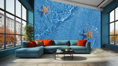 starfish in flowing water Wall mural