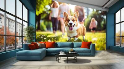 Cute corgi dog close-up on lawn in park on sunny summer day, in background happy family Wall mural