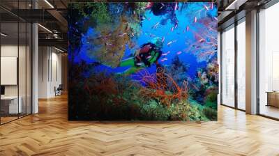 scuba diver diving on tropical reef with blue background and fish Wall mural