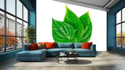 betel leaf is herbal Wall mural