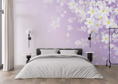 white Plumeria or Frangipani flowers on purple gradient color ba Wall mural