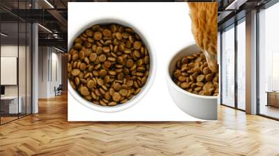 Cat food in bowl on transparent background. Cat eating dry meal from white plate. Healthy dry pet food. Png realistic design element Wall mural