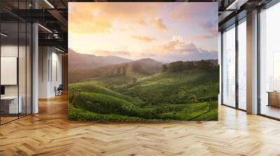 Sunset tea plantation in Munnar Wall mural