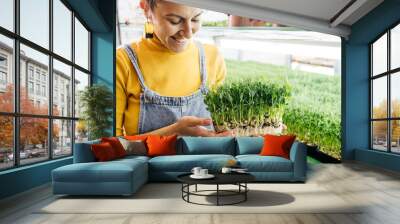 Woman holding box with microgreen, Small business indoor vertical farm. Close-up of healthy vegetarian vitamin fresh food. Microgreens growing background with raw sprouts in female hands Wall mural