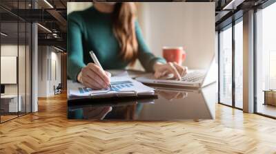 Female writes information businessman working on laptop computer writing business plan while sitting in office. Wall mural