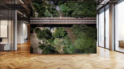 aerial bridge Wall mural