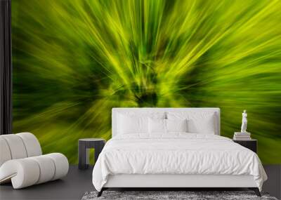 green abstract background Wall mural