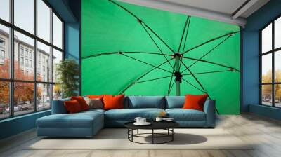 inside green umbrella Wall mural