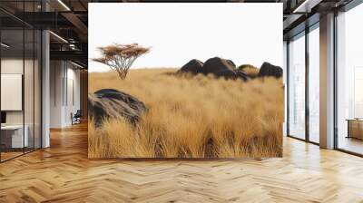  Isolate savanna dry grass meadow shrubs with rocks on white backgrounds 3d render Wall mural