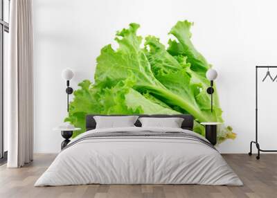 Fresh green lettuce on white background Wall mural