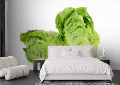 Romain Lettuce isolated on a white background Wall mural