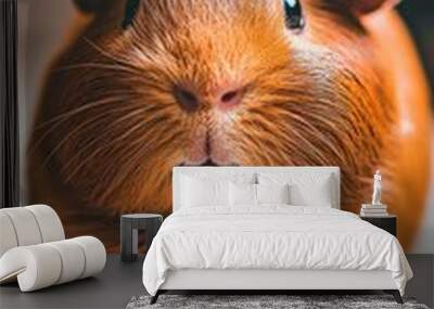 A fluffy guinea pig sits calmly, showcasing its cute features in a warm indoor environment, radiating joy and curiosity Wall mural