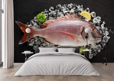 Fresh red porgy fish on ice on a black stone table top view Wall mural