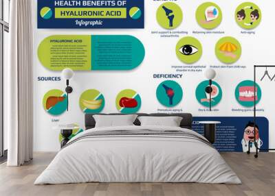 health benefits of hyaluronic acid infographic including of deficiency and sources, supplement medical vector illustration for education.
 Wall mural