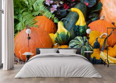 Close up.Orange pumpkins at outdoor farmer market. Wall mural