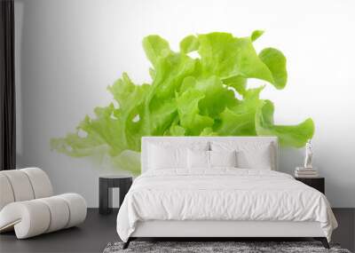 Green leaves lettuce isolated on white background Wall mural