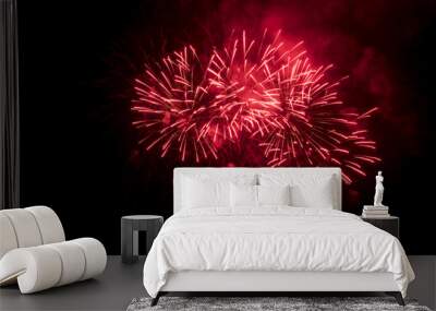 Red fireworks in night sky. Wall mural