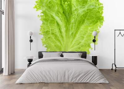 Salad leaf. Lettuce transparent png Wall mural