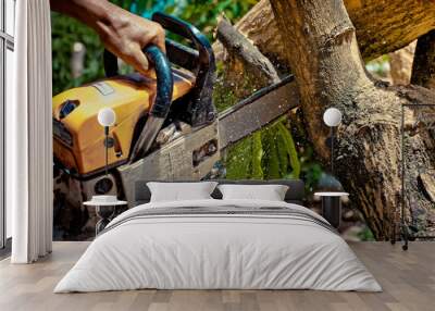 Chainsaw. Close-up of woodcutter sawing chain saw in motion, Concept is to bring down trees. Wall mural