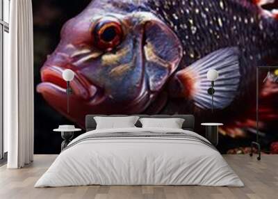 fish with red and black tail Wall mural