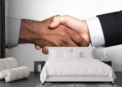 A photostock of a handshake between two businesspeople of different ethnicities, symbolizing partnership. Wall mural