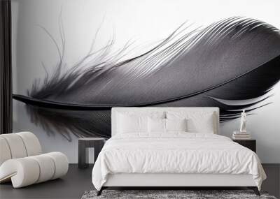 feather on black background Wall mural