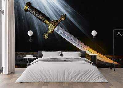 sword in the dark Wall mural