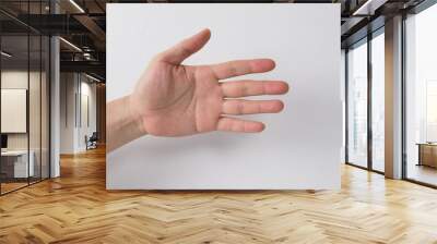 empty hand on white background. Wall mural