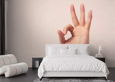 Man is doing A-Ok hand sign on white background. Wall mural