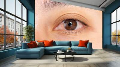 Close up of the pterygium during eye examination. Wall mural