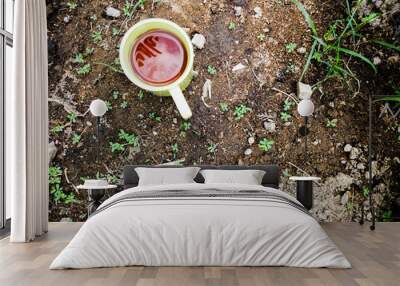 High angle view of cup of tea on wet ground in the garden Wall mural