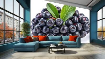 Closeup of fresh ripe dark chokeberries Aronia melanocarpa clustered together on a clean minimalist white background Wall mural