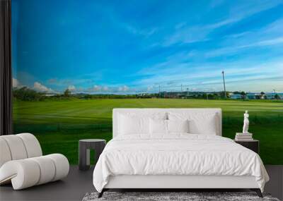 field and blue sky Wall mural