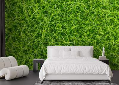 Green grass,nature texture background Wall mural