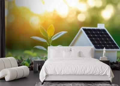 Sustainable Home with Solar Energy and Green Practices Wall mural