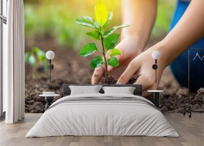 A young entrepreneur planting a small tree, symbolizing the growth of sustainable business practices Wall mural