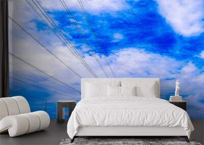 High voltage power lines and high voltage poles. Under the beaut Wall mural