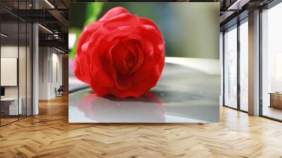 Red rose for background Wall mural