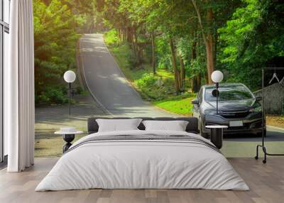 Cars running on the road with a roadside tree and morning light shines . driving corner green trees on both sides of street. Wall mural