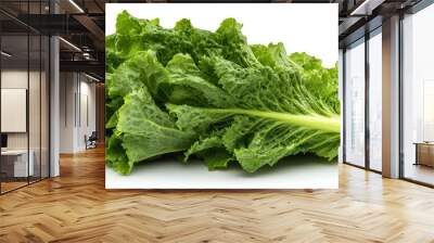 a head of romaine lettuce, crisp and tall, deep green tones, isolated on white background Wall mural