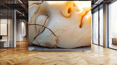 Close-up of a cracked marble sculpture of a human face on a sunlit surface, showcasing intricate details. Wall mural