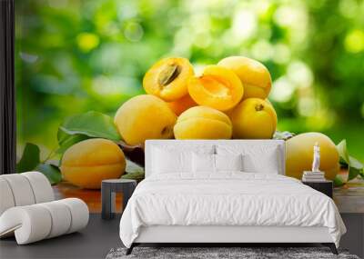 fresh apricots Wall mural