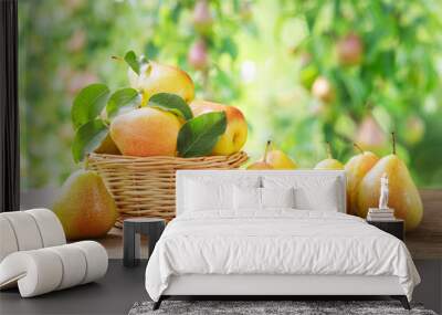 fresh pears in a basket on a wooden table on orchard garden background Wall mural