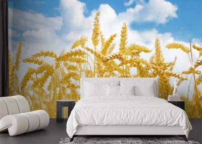 Golden ripening wheat ears in a field Wall mural